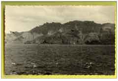 ���� ������ ��� ��� ����