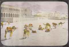 ���� ������ ��� ��� ����