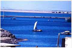 ���� ������ ��� ��� ����