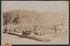 ���� ������ ��� ��� ����