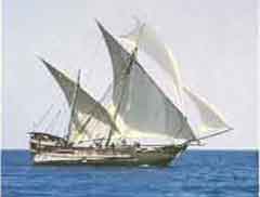 ���� ������ ��� ��� ����