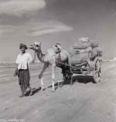 ���� ������ ��� ��� ����