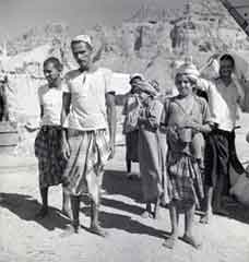 ���� ������ ��� ��� ����