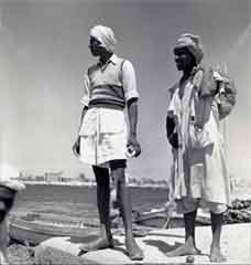 ���� ������ ��� ��� ����