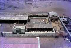 ���� ������ ��� ��� ����