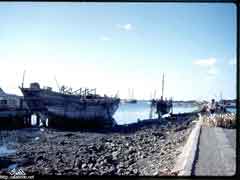 ���� ������ ��� ��� ����