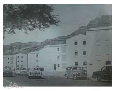 ���� ������ ��� ��� ����