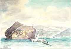 ���� ������ ��� ��� ����