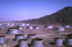 ���� ������ ��� ��� ����