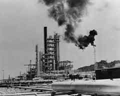 ���� ������ ��� ��� ����