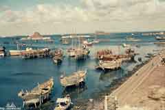 ���� ������ ��� ��� ����