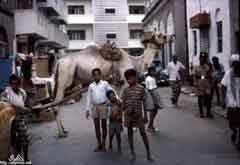 ���� ������ ��� ��� ����