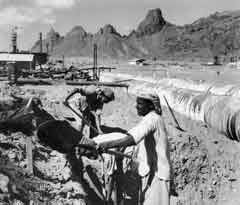 ���� ������ ��� ��� ����