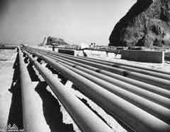 ���� ������ ��� ��� ����