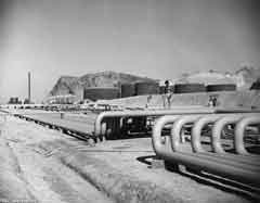 ���� ������ ��� ��� ����