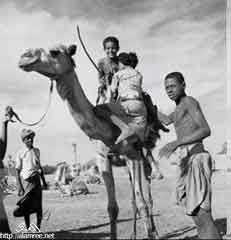 ���� ������ ��� ��� ����