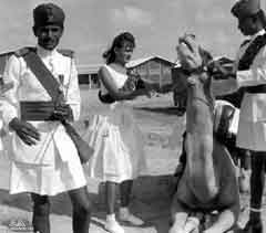 ���� ������ ��� ��� ����