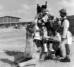 ���� ������ ��� ��� ����