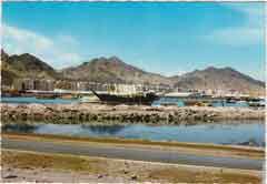 ���� ������ ��� ��� ����