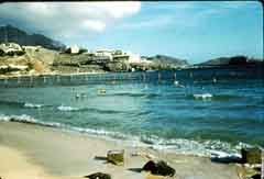 ���� ������ ��� ��� ����