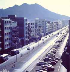 ���� ������ ��� ��� ����