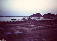 ���� ������ ��� ��� ����