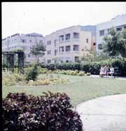 ���� ������ ��� ��� ����