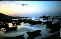 ���� ������ ��� ��� ����