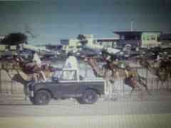 ���� ������ ��� ��� ����