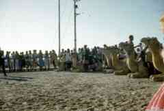 ���� ������ ��� ��� ����