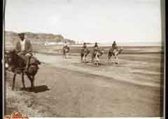 ���� ������ ��� ��� ����