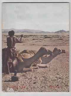 ���� ������ ��� ��� ����