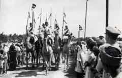 ���� ������ ��� ��� ����