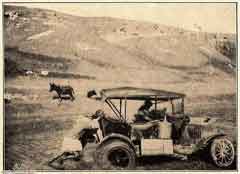 ���� ������ ��� ��� ����