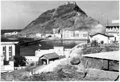 ���� ������ ��� ��� ����