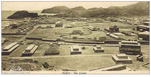 ���� ������ ��� ��� ����