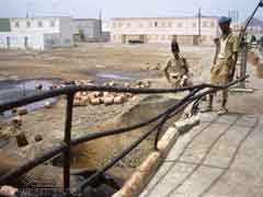 ���� ������ ��� ��� ����