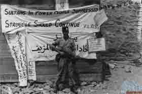 ���� ������ ��� ��� ����