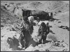 ���� ������ ��� ��� ����