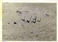 ���� ������ ��� ��� ����