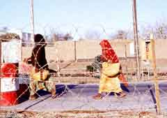 ���� ������ ��� ��� ����