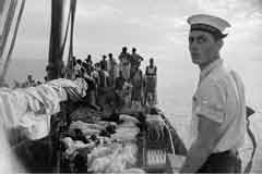 ���� ������ ��� ��� ����