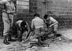 ���� ������ ��� ��� ����