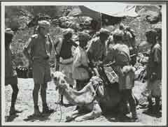 ���� ������ ��� ��� ����