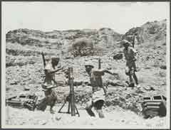 ���� ������ ��� ��� ����