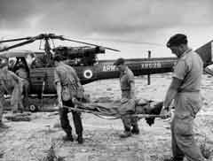 ���� ������ ��� ��� ����