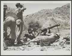 ���� ������ ��� ��� ����