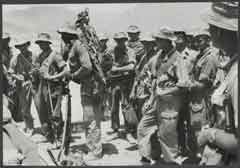 ���� ������ ��� ��� ����