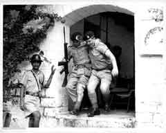 ���� ������ ��� ��� ����