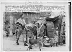 ���� ������ ��� ��� ����